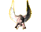 Profile - pig