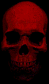 Profile - skull1
